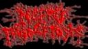 NECROFAGOSITOSIS - Ciudad Morgue
