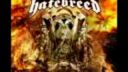 Hatebreed - Below The Bottom