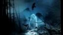 Forest Silence - Philosophy Of Winter