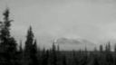 Woods of Ypres - Allure of the Earth