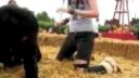 Children of the Corn