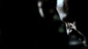 SGU - All My Secrets