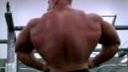 Bodybuilding - old school workout