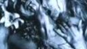 Cradle Of Filth - A dream of wolves in the snow