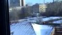 video V Rusku už aj vrany snowbordujú