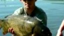 Kapor štrkovisko lipovec 10,5 kg