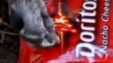 Doritos - najlepší priateľ človeka