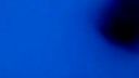 Test color salute