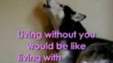 Mishka I love you