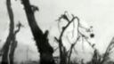 World War 1939 - 1945 (IV)