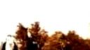 Luca Turilli - The Ancient Forest Of Elves