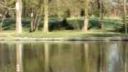 Továrnicky park 9.4.2012 (2)