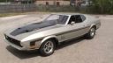3000-koňoví Mustang v uliciach Ameriky