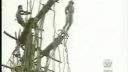 Africký bungee jumping