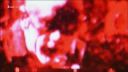 REM - Losing my religion (live)