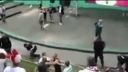 Polskí ,,fans,,