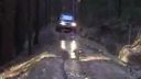 Off road po lese