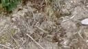 Airsoft - Ground Contol 1