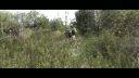 Airsoft - Operation Sunday Fight - 26.8.2012 - Trailer