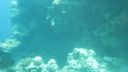 Biyadhoo House Reef
