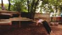 Parkour & Freerunning in Vienna