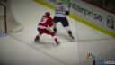 Detroit Red Wings Ciel do sezóny 2013