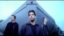Driftwood - Freeloader