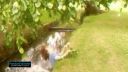 Faily - We love fails