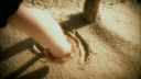 Epica - Solitary Ground