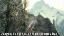 LITERAL - Trailer Skyrim