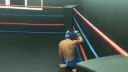Street Fighter Vs Muay Thai Fighter