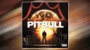Pitbull feat.Chris Brown - Hope we meet again
