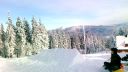 Backflip (MT)