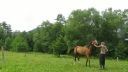 Horsemanship - Veronika a Hakim