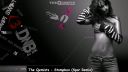 The Qemists - Stompbox (Spor Remix)