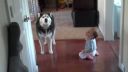 Mishka a drobec