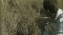 Bear Grylls - Boj o prežitie - 02x01 - Everglades