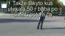 Sud - sudna sien
