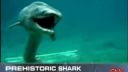 Prehistorický žralok