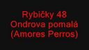 Rybičky 48