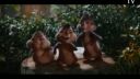 Chipmunk album: Kali - Kto to povedal
