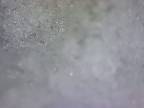 Topenie snehu pod mikroskopom