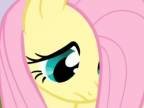 My Little Pony - Zoznámte sa s Fluttershy