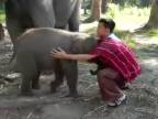 Túlenie sa so sloníkom
