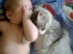 Mačka a kojenec