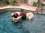 Ako naučiť plávať veľkého mastifa
