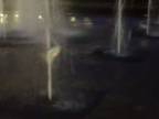 Frisbee na fontáne
