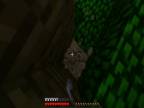 Minecraft Survival[part1]