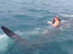 Plávanie na žralokovi