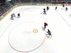 Neskutočný gól NHL09